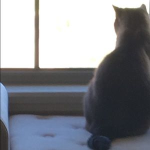 Meet your Posher, Lenore